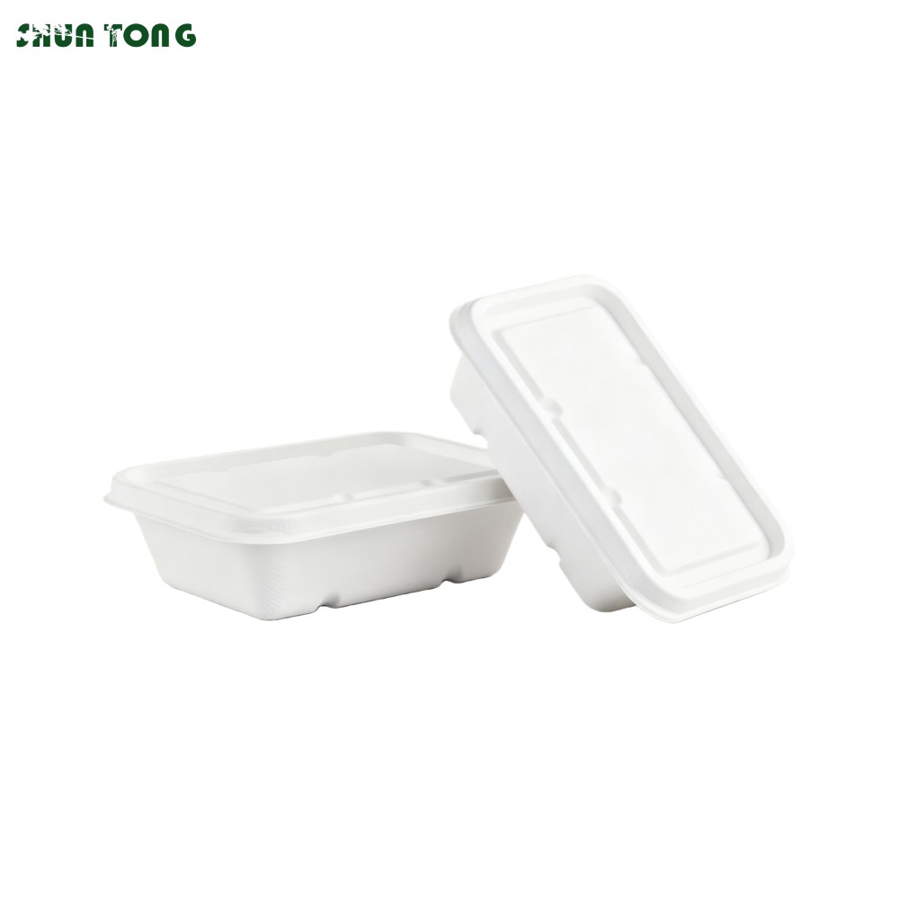 Sugarcane Food Container