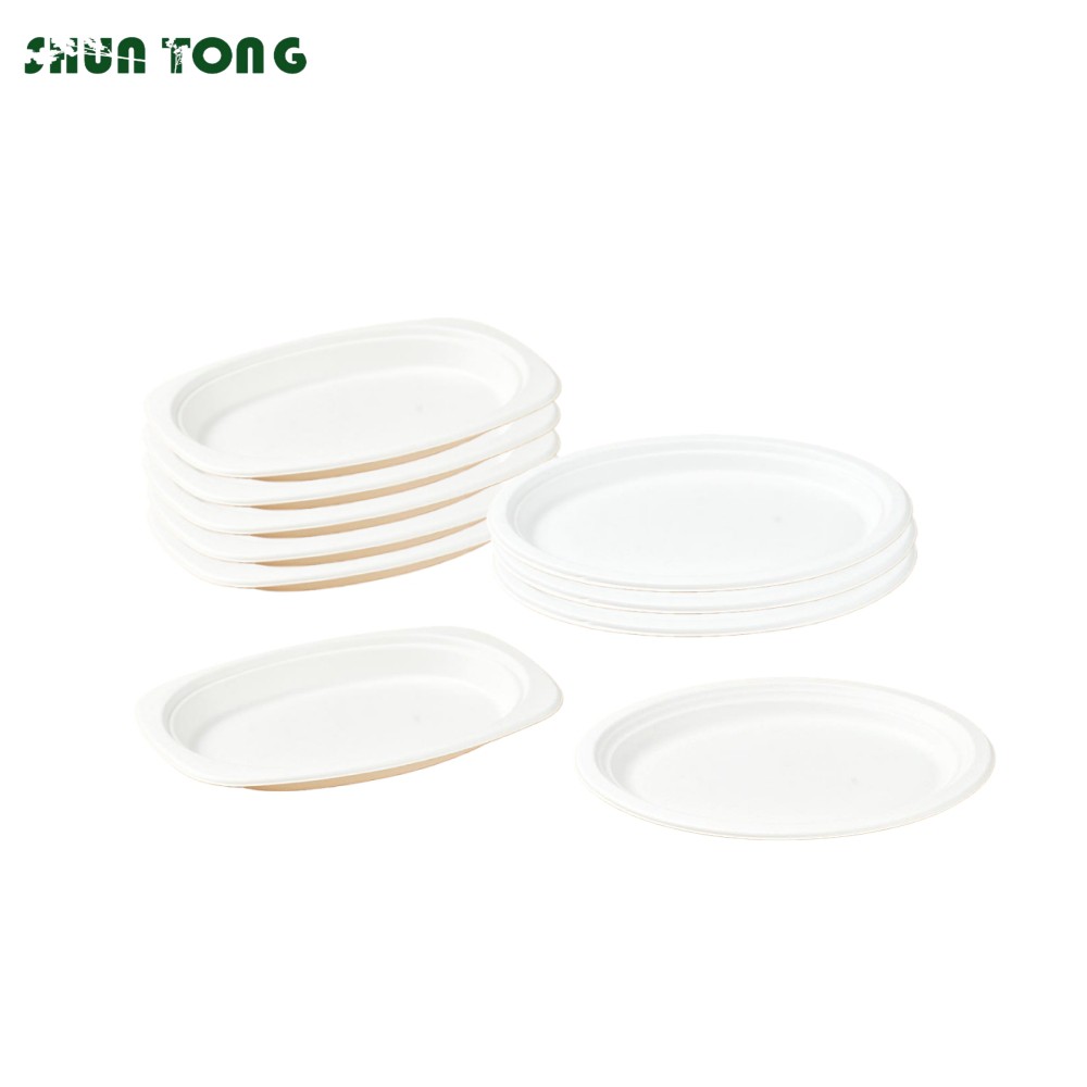 Sugarcane Pulp Plates